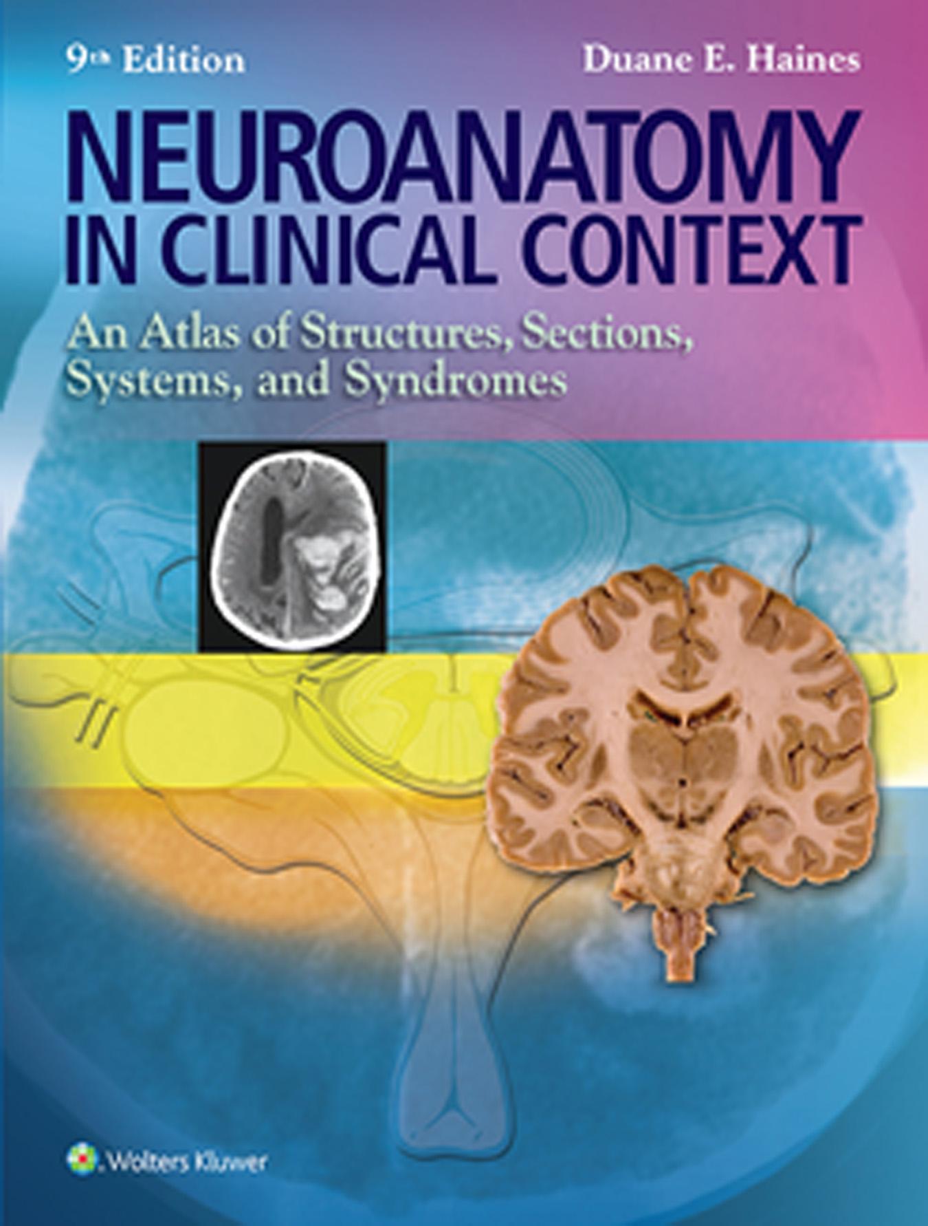 Neuroanatomy in Clinical Context