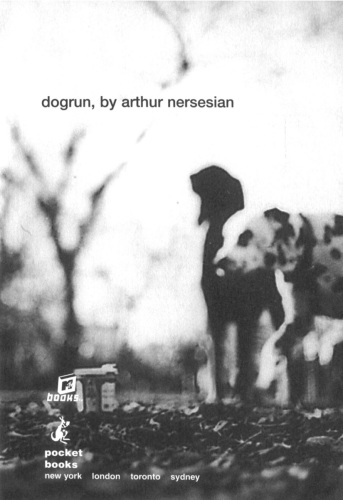 Dogrun