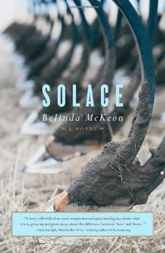 Solace: A Novel