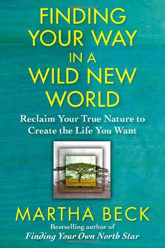 Finding Your Way in a Wild New World