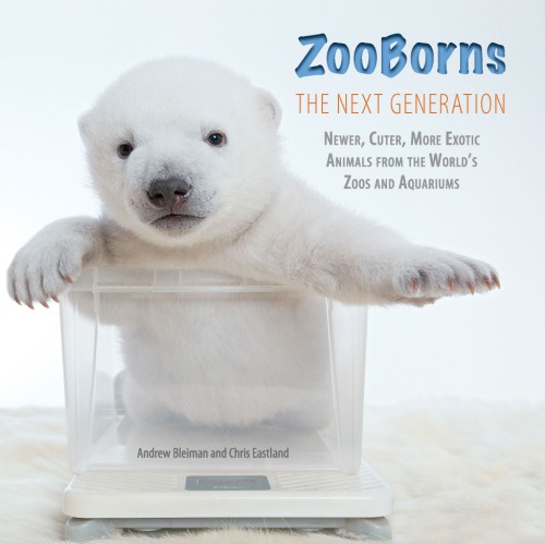 ZooBorns the Next Generation