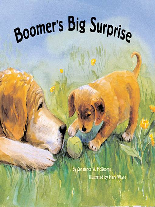 Boomer's Big Surprise