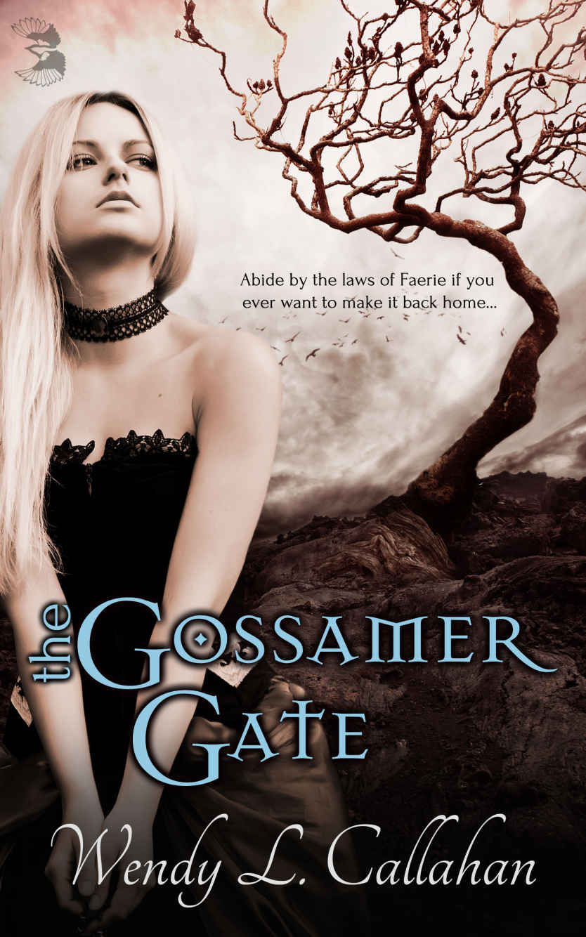 The Gossamer Gate