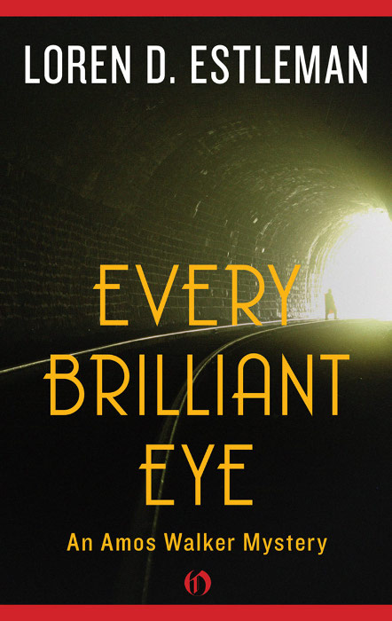 Every Brilliant Eye