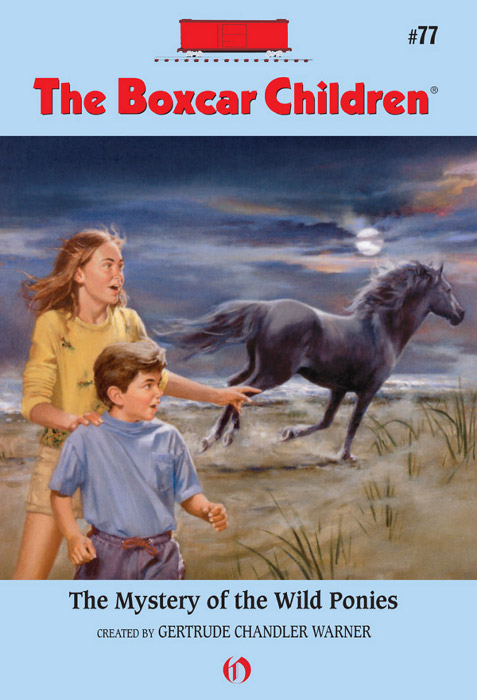 Mystery of the Wild Ponies