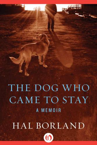 The Dog Who Came to Stay