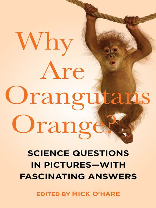 Why Are Orangutans Orange?