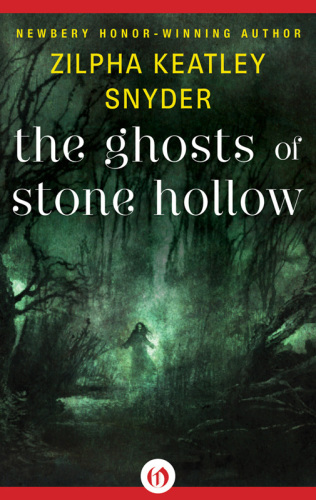 The Ghosts of Stone Hollow