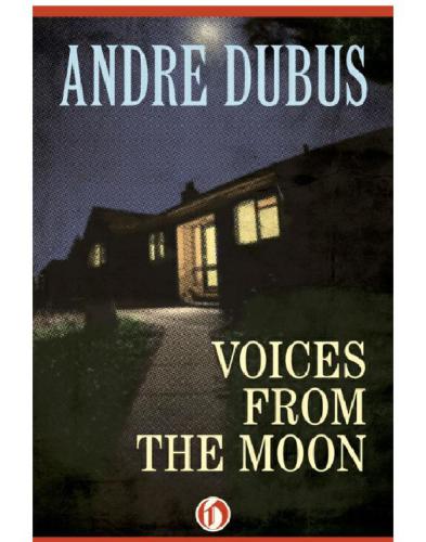 Voices from the Moon