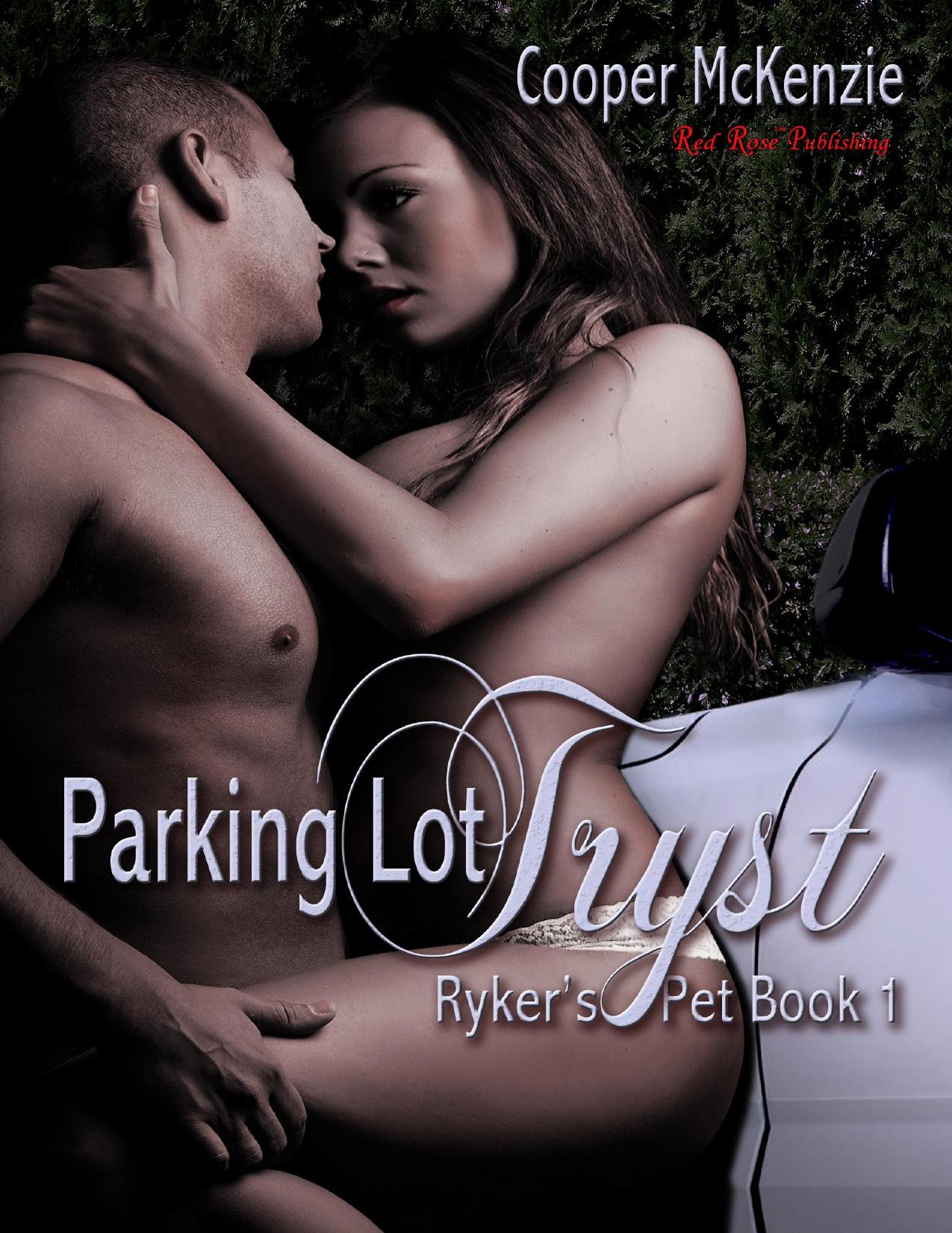 Parking Lot Tryst