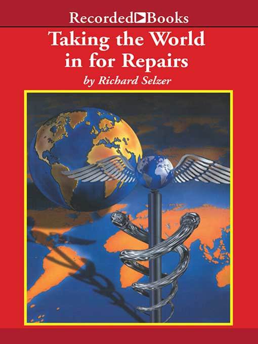 Taking the World In for Repairs