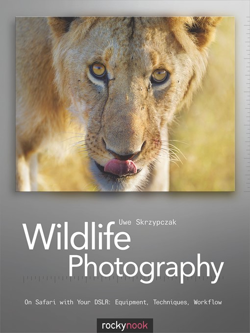 Wildlife Photography