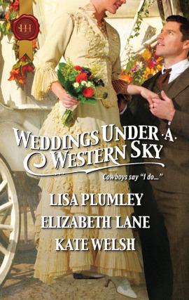 Weddings Under a Western Sky: The Hand-Me-Down Bride\The Bride Wore Britches\Something Borrowed, Something True