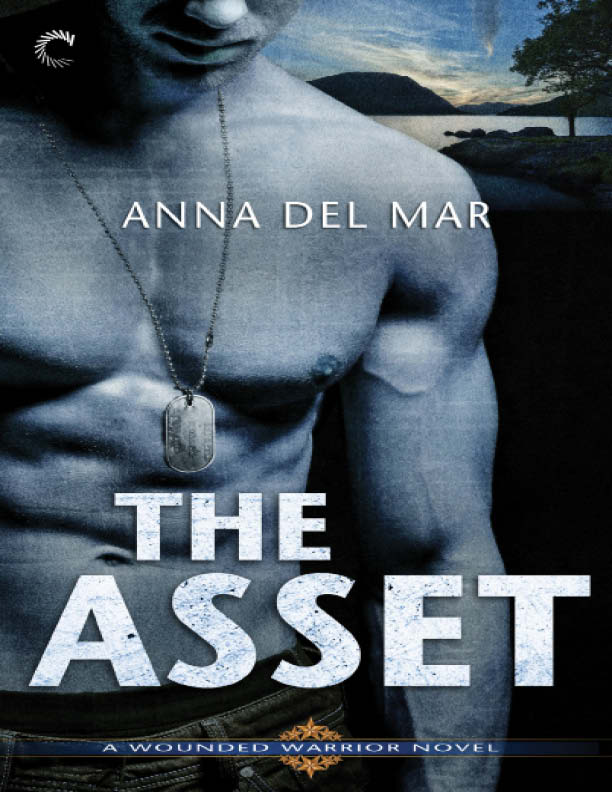 The Asset--A Military Hero Romantic Suspense Novel