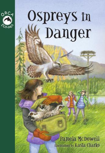 Ospreys in Danger