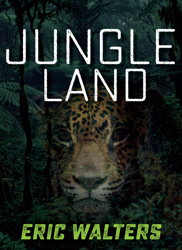 Jungle Land