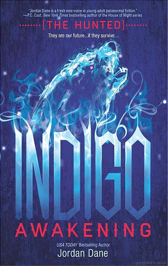 Indigo Awakening