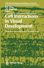 Cell Interactions in Visual Development