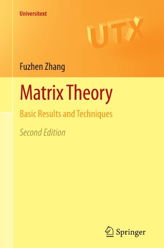 Matrix Theory