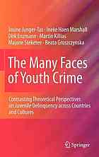 The Many Faces of Youth Crime