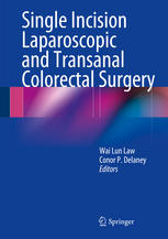 Single Incision Laparoscopic and Transanal Colorectal Surgery