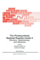 The Photosynthetic Bacterial Reaction Center II : Structure, Spectroscopy and Dynamics.