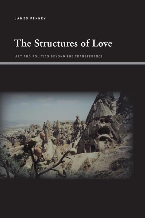 The structures of love : art and politics beyond the transference