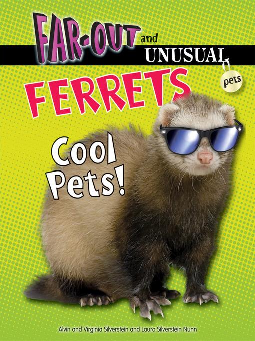 Ferrets