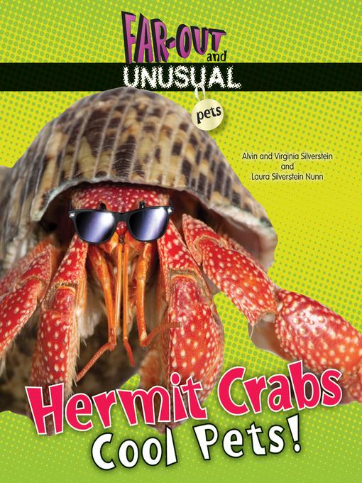 Hermit Crabs