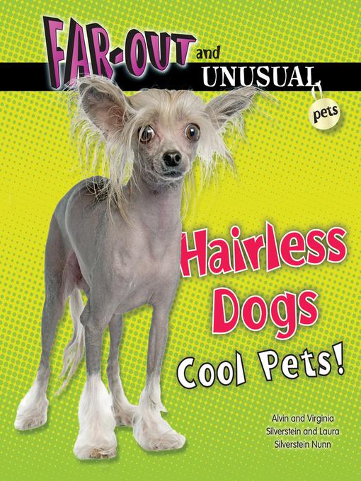 Hairless Dogs