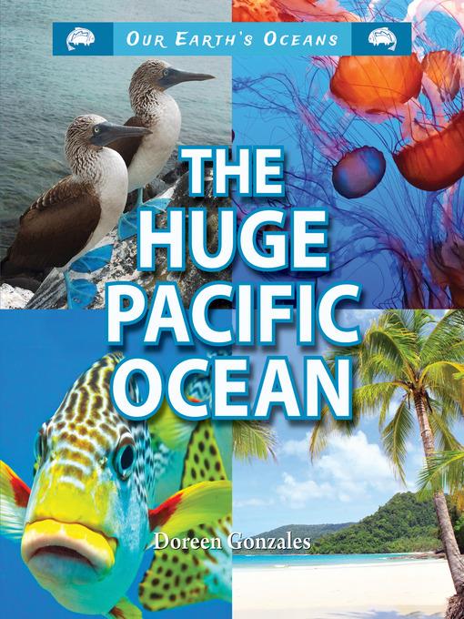 The Huge Pacific Ocean
