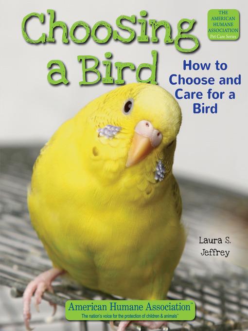 Choosing a Bird