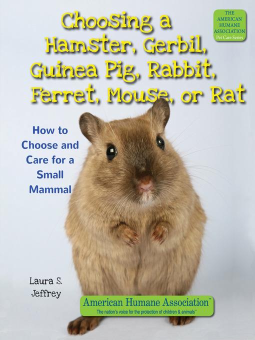 Choosing a Hamster, Gerbil, Guinea Pig, Rabbit, Ferret, Mouse, or Rat