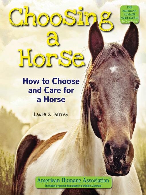 Choosing a Horse