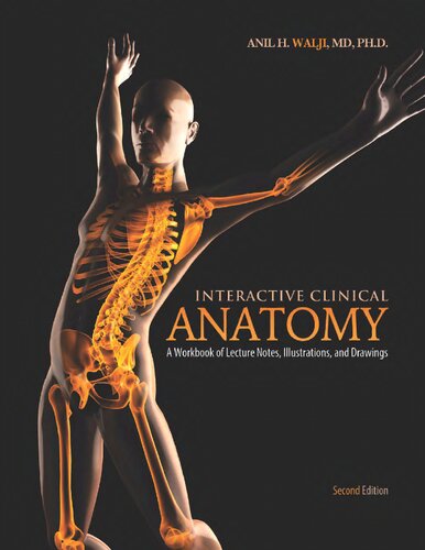 Interactive Clinical Anatomy