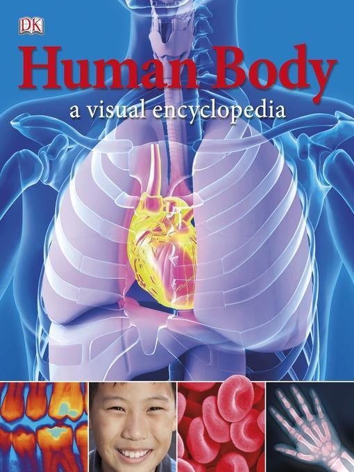 Human Body