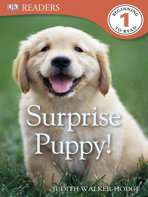 Surprise Puppy