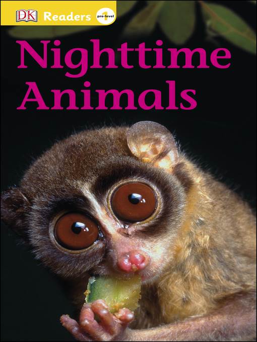 Nighttime Animals