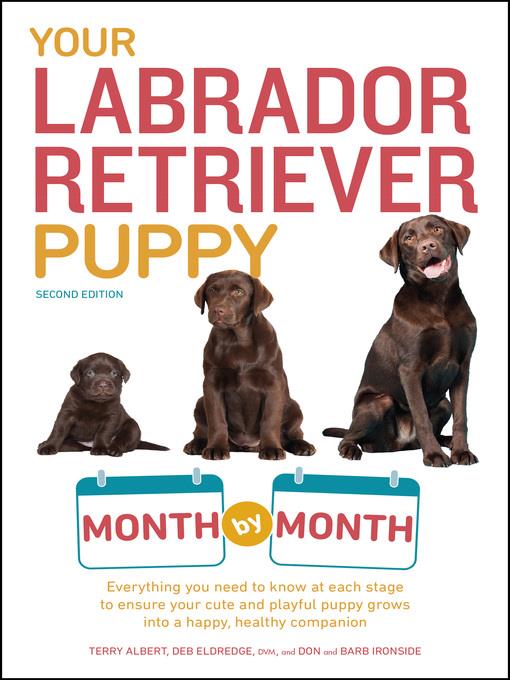 Your Labrador Retriever Puppy Month by Month