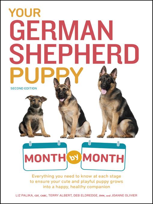 Your German Shepherd Puppy Month by Month