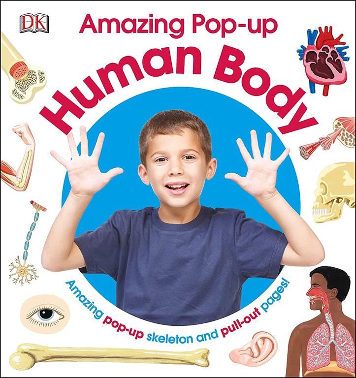 Amazing Pop-up Human Body: Amazing Pop-Up Skeleton and Pull-Out Pages!