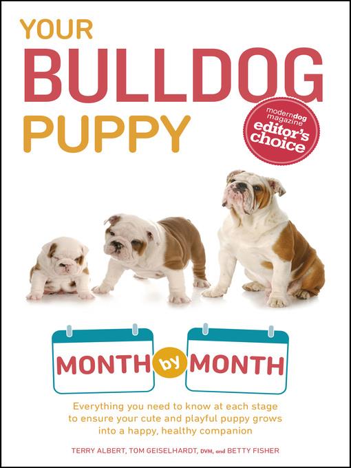 Your Bulldog Puppy Month by Month