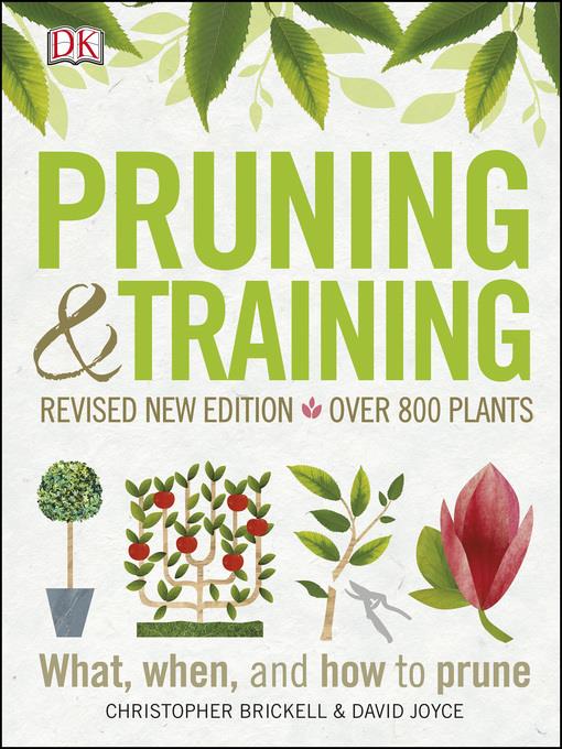 Pruning and Training