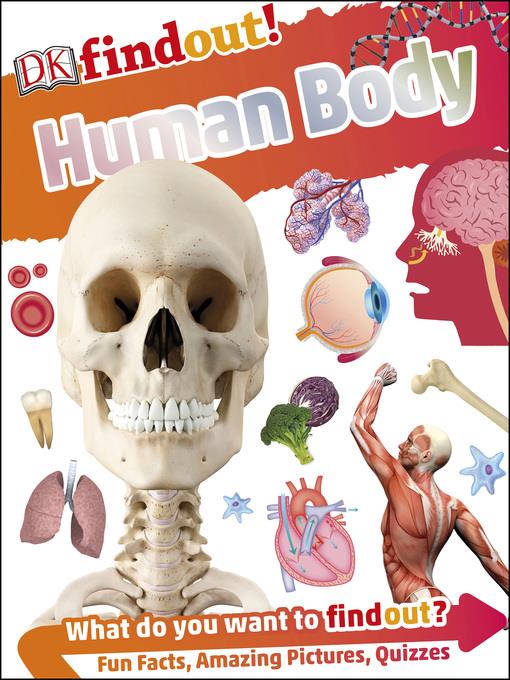 Human Body