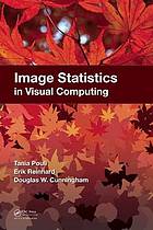 Image statistics in visual computing