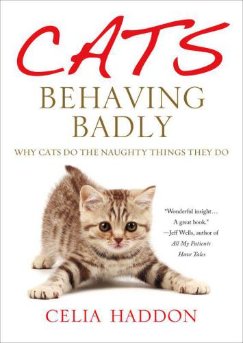 Cats Behaving Badly