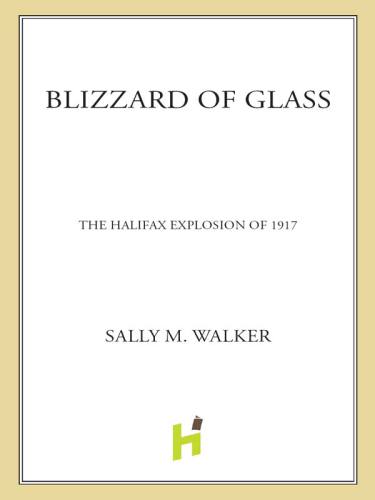 Blizzard of Glass