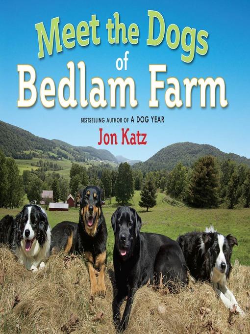 Meet the Dogs of Bedlam Farm