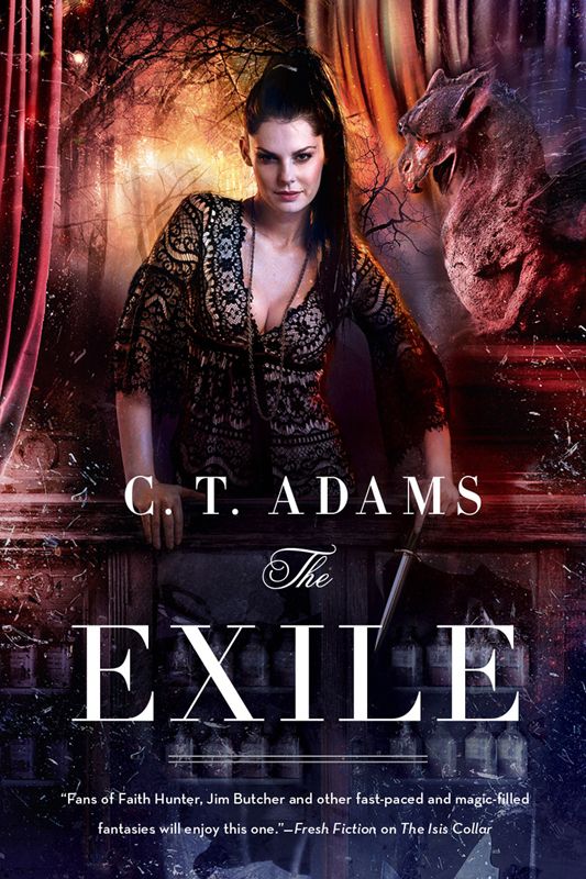 The Exile--Book One of the Fae