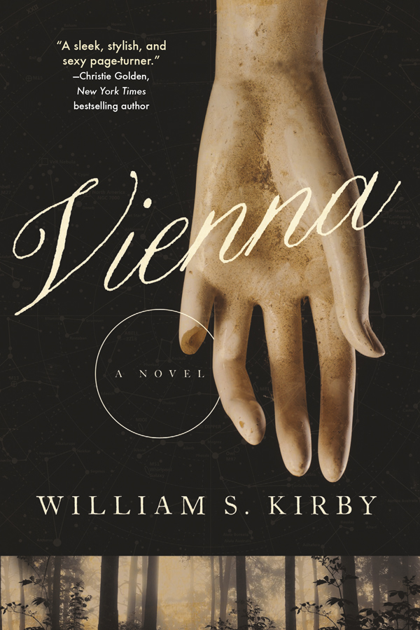 Vienna--A Novel